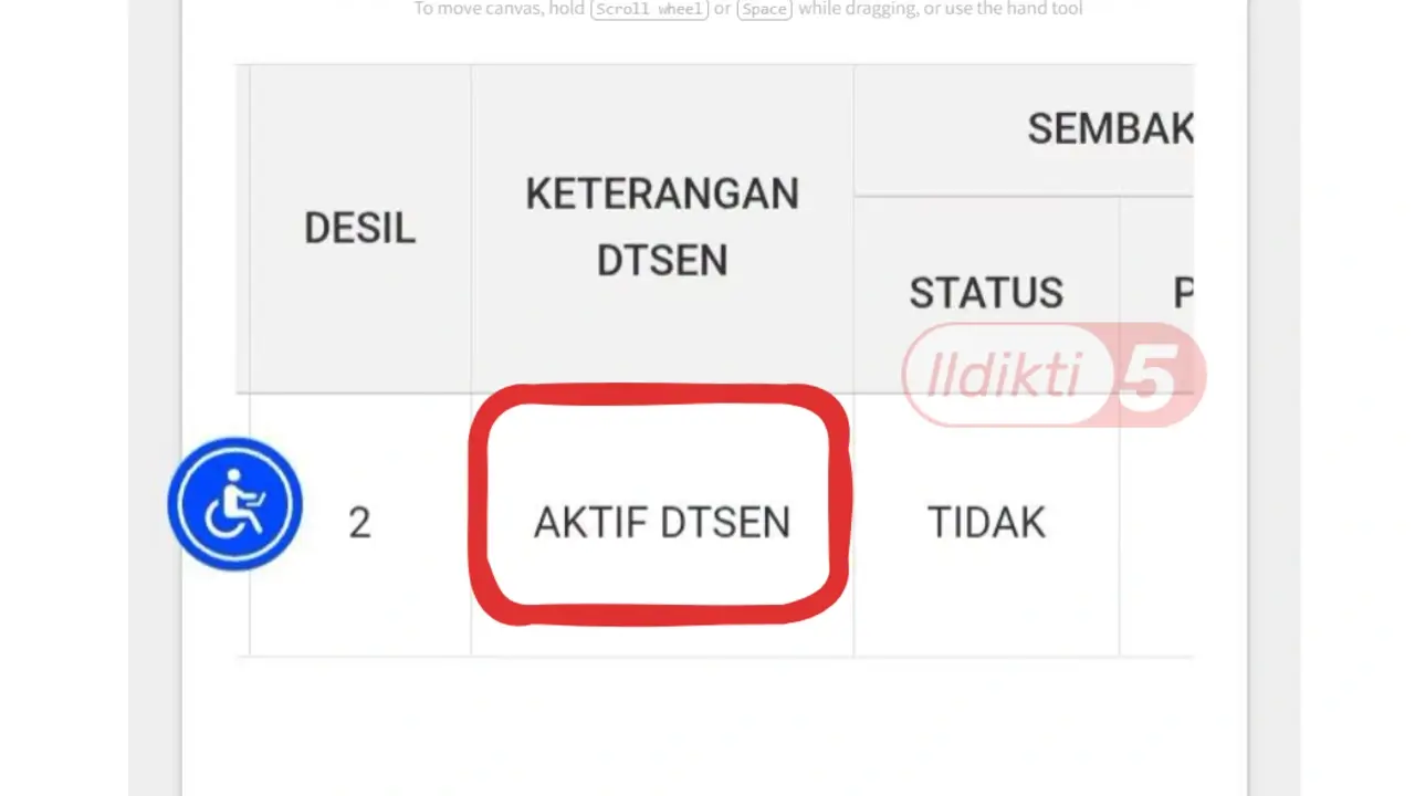 Aktif DTSEN Artinya